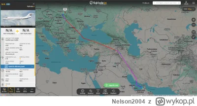 Nelson2004 - Ciekawe kto tam przyleciał właśnie z Dubaju do Rzeszowa prywatnym odrzut...