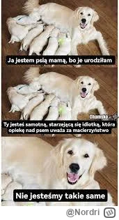 Nordri - Łomatko, dzisiaj dodałam ten obrazek na fejsbuniu takiej "psiej mamy" (sama ...