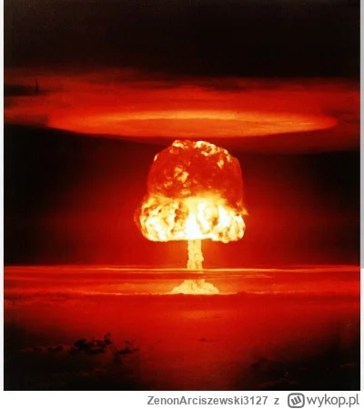 ZenonArciszewski3127 - To wszystko trzeba spalić atomem
#kpo