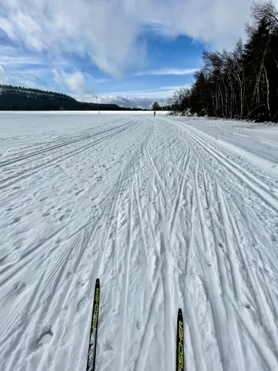 wspodnicynamtb - Dziś skromnie, bo tylko 20 km, za to łyżwą, żeby poczuć wszystkie mi...
