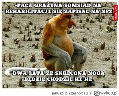 januszzczarnolasu - ( ͡° ͜ʖ ͡°)