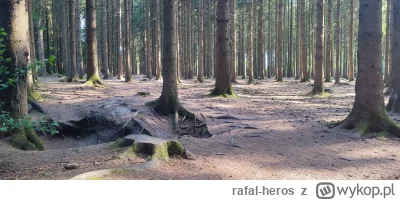 rafal-heros - Jestem w lesie pod Bastogne gdzie walczyła 101 Division #wojna