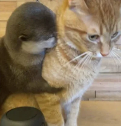 serniczekwiedensky - Gdy chuop przerwa swoje sprawy tylko po to zebym mogla na pare m...