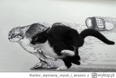 Kantorwymianymysliiwrazen - @SmutnyKot: ( ͡° ʖ̯ ͡°)