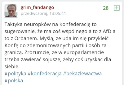 anb - Europoslowie Konfederacji: dołączają do frakcji AfD i Orbana
Mentzen: broni AfD...