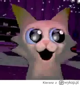 Kieranz - #garn47 #car #koty