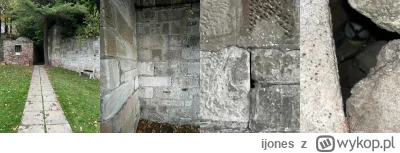 ijones - Modraszka Zwyczajna / Sikora Modra / Sikora Modraszka - #zwierzynaijonesa ( ...