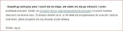 MarkoWN - @sylwke3100: Ciekawe kogo widzieli i właściwie to kogo pogryzł pies policyj...