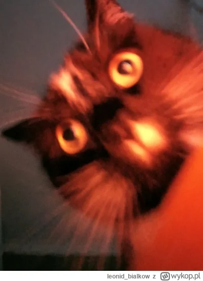 leonid_bialkow - @wfyokyga: cze dla ciebie