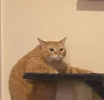 vieniasn - najgorsze w nowożytnym internecie jest to że trzeba się pilnować bo można ...