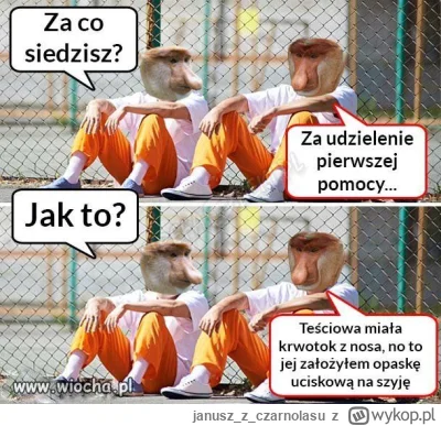 januszzczarnolasu - ( ͡° ͜ʖ ͡°)