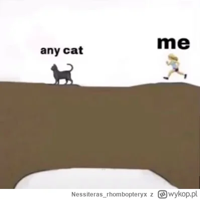 Nessiteras_rhombopteryx - @wfyokyga: (⌐ ͡■ ͜ʖ ͡■)