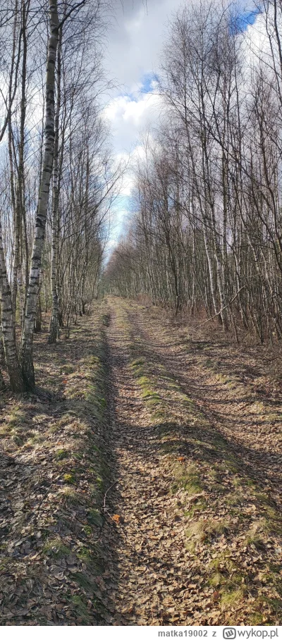 matka19002 - 18 557 + 76 = 18 633

Grewal

#rowerowyrownik

Skrypt | Statystyki