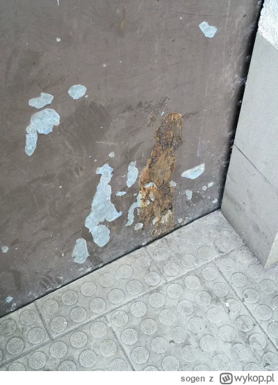 sogen - @GlebakurfaRutkowski_Patrol:  jak menel ma żółte papiery to się nic nie da pr...