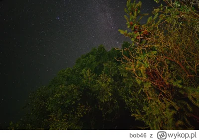 bob46 - #tworczoscwlasna #s24ultra #fotografia