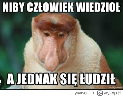 ynabej88 - #f1 KONIEC MISTRZOSTW