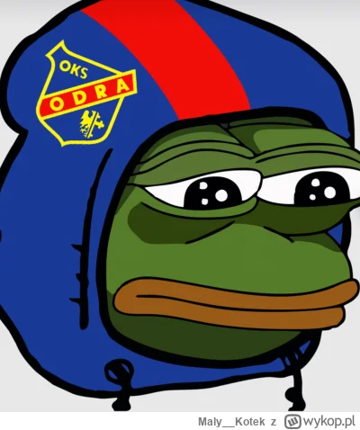 Maly__Kotek - #mecz ( ͡° ʖ̯ ͡°)