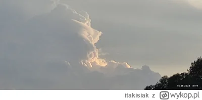 itakisiak - Taka przedwczoraj #chmura. Orangutan widziany nieco z tyłu, z boku...?

#...