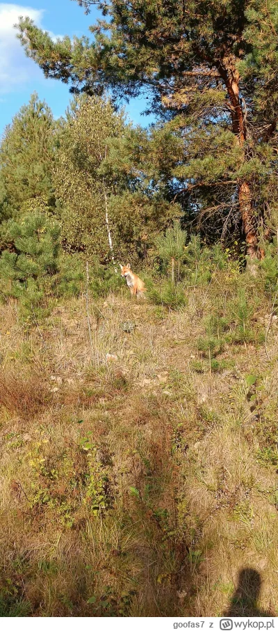 goofas7 - 596 877 + 67 + 53 = 596 997

Nie wiem jak u Was ale u mnie czuć już zimę. N...