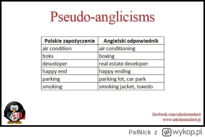 PalNick - Pseudoanglicyzm to wyraz, który jest uznawany za zapożyczenie z języka angi...