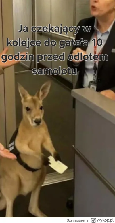 Szemiques - #heheszki #smiesznypiesek