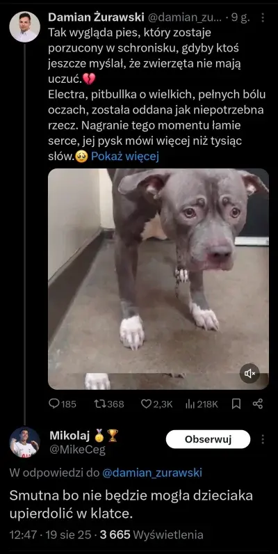 Handstander12 - #psy #psiarze #psiegryw #twitter #heheszki