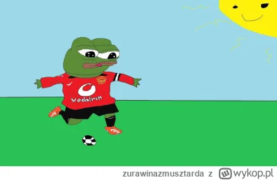 zurawinazmusztarda - #przegryw ja nigdy nie został wybrany do drużyny na wuefie jako ...