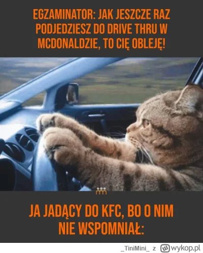 TiniMini - #heheszki #koty