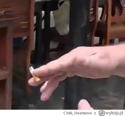 Chilli_Heatwave - @Geppetto typ lazi z kawałek peta bo musi wypalić aż do filtra, w k...