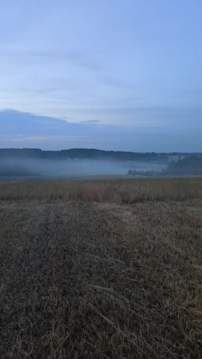 dolor - @Van-der-Ledre baby nie lubią tak spędzać czasu. Moje z dzisiejszego wieczoru...