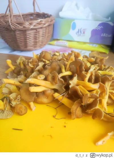 dtr - @Kremufka2137 pieprznik trąbkowy, smaczny grzyb. Żmudnie się go zbiera ale wart...