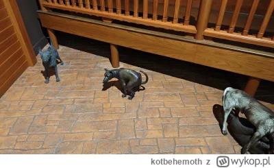 kotbehemoth - Jak Boga kocham w Muzeum Sztuki Współczesnej w Bangkoku jest rzeźba psa...