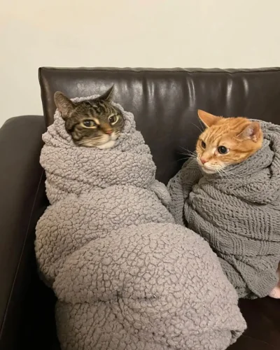 wybryk_natury - #zlodziejskiewybryki