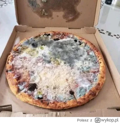 Polasz - Pizza cztery sery