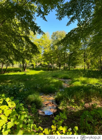 R2D2zSosnowca - @R2D2zSosnowca 9