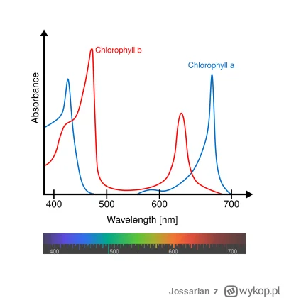 Jossarian - >A jaki kolor najbardziej lubią?

@butylarz: Zależy ile mają i jakiego ch...