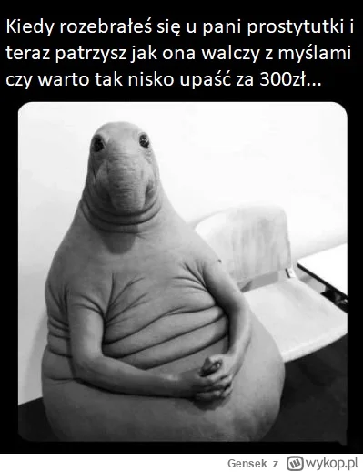 Gensek - Napięcie jak przed pierwszą wizytą u pani k---y ^^ 
#gielda #nvidia