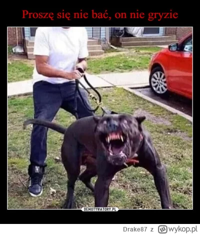 Drake87 - @Lemon_cheese