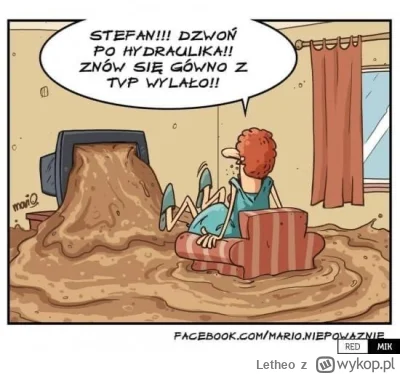 Letheo - #grazynacore #heheszki #humorobrazkowy