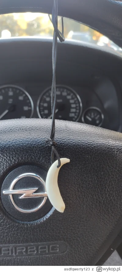 asdfqwerty123 - Byłem dziś w #kruszwica i Kupiłem za 20zl naszyjnik z kłem dzika. Goś...