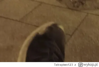 Tatrapiwo123 - #kononowicz co powiecie na charytatywną akcje  ''Wyślij butka dla bogu...