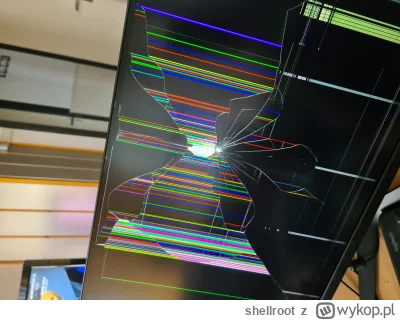 shellroot - To się odwaliło. Może miał z miesiąc. xD Dzwonił kumpel do drzwi i kurde ...