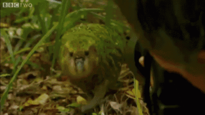 wfyokyga - Czemu mi robisz zdjęcia erosomanie