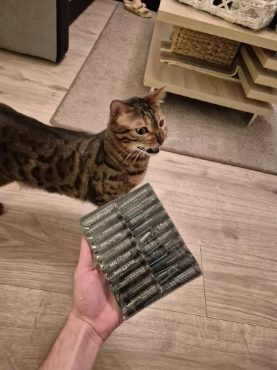 Lujdziarski - #pokazkota #dziarskikacperek Kacperek jest przeciwko fajerwerkom, jeszc...