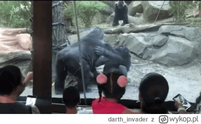 darth_invader - To jak oglądanie małpek w ZOO