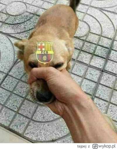 tajpej - ( ͡° ͜ʖ ͡°) #mecz