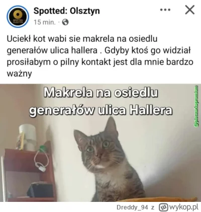 Dreddy_94 - #heheszki #polska jest nowy gracz w chowanego ( ͡° ͜ʖ ͡°)