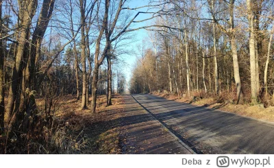 Deba - 647 163 + 67 = 647 230

Po okolicy. Rok temu w grudniu nie udało się wyjść, ty...