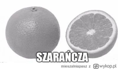 mieszalniapasz - #heheszki #pomarancza #szarancza