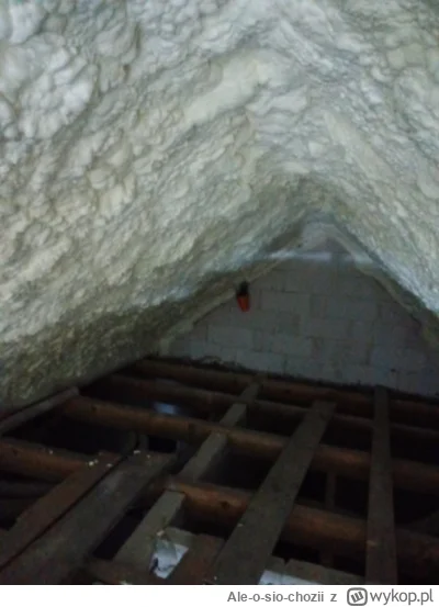 Ale-o-sio-chozii - @kajzer95 daje plusa u mnie już od dzisiaj wykonczeniowka, położon...